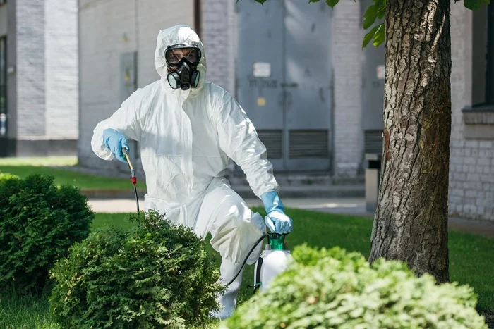 pest control Kings Beach