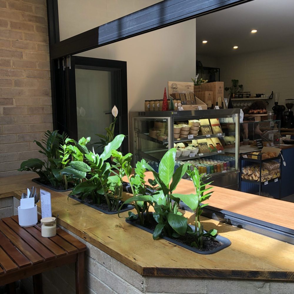 Lolicato’s Sandwich Bar